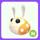 Hopbop N