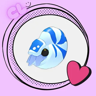 Nautilus