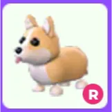 Corgi R