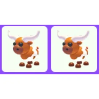 Pet | Longhorn Cow x2