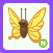 Yellow Butterfly N Neon