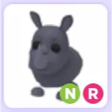 Pet | Rhino NR Neon