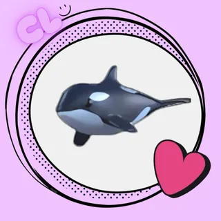 Orca