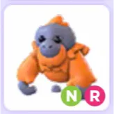 Pet | Orangutan NR Neon