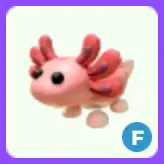 Axolotl F