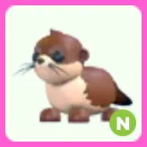 River Otter N