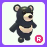 Pet | Black Moon Bear R