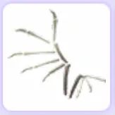 Bone Wings