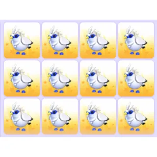 Bundle | Bali Starling x12 Pets