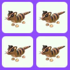 Banded Palm Civet x4