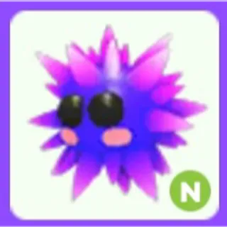 Urchin N