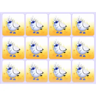 Bundle | Bali Starling x12 Pets