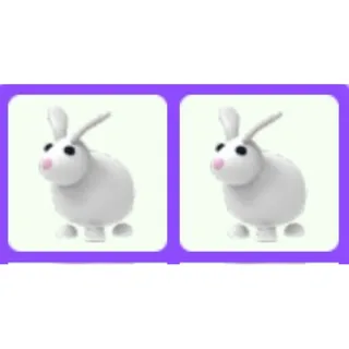 Rabbit x2