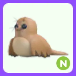 Galapagos Sea Lion N