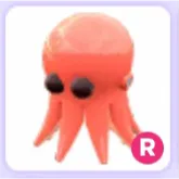 Pet | Octopus R