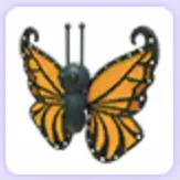 Pet | Orange Butterfly