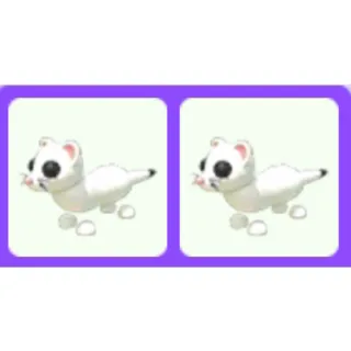 Pet | Ermine Bundle x2