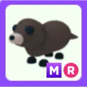 Pet | Otter MR Mega