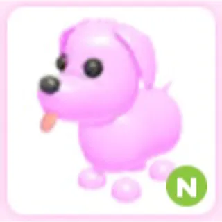 Pink Dog N