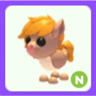 Show Pony N