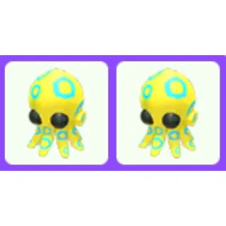 Pet | Blue Ringed Octopus x2