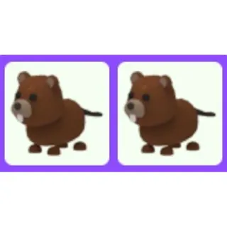 Beaver x2
