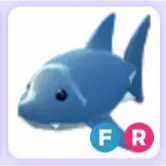 Pet | Shark FR