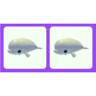Beluga Whale x2