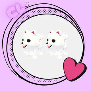 Samoyed x2
