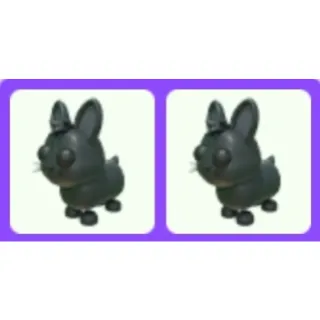 Pet | Amami Rabbit Bundle x2