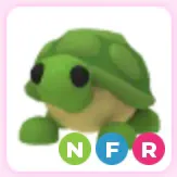 Turtle NFR