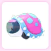 Glyptodon Van