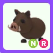 Pet | Wild Boar NR Neon