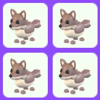 Coyote Bundle x4