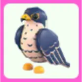 Peregrine Falcon