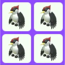 Woodpecker Bundle x4