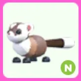 Black Footed Ferret N