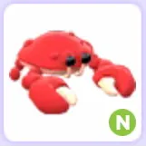 Pet | Crab N Neon