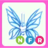 2024 Birthday Butterfly NFR