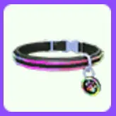 RGB Collar