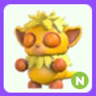 Island Tarsier N