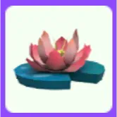 Accessories | Pink Lotus