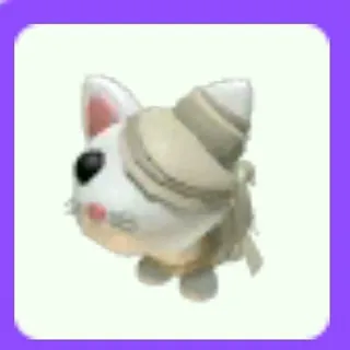 White Mummy Cat