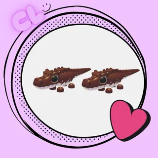 Cocoadile x2