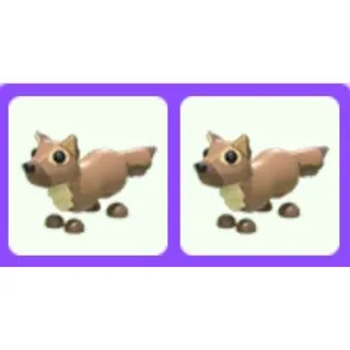 Pine Marten x2