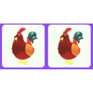 Pet | Rooster x2