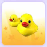 Rubber Ducks Pet Wear