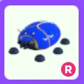 Pet | Giant Blue Scarab R Ride