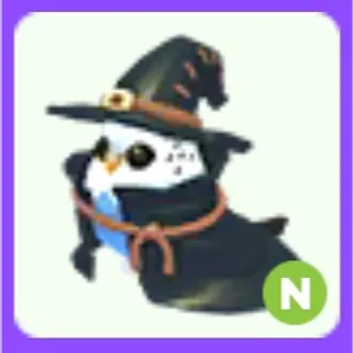 Budgie Witch N