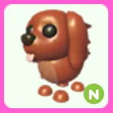 Irish Setter N